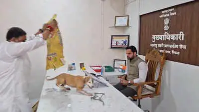 Yuva Sena releases puppies in Nashik civic office over stray dog menace