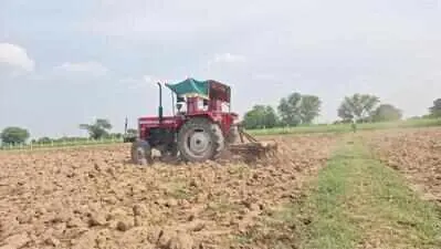 DAP shortage hits Rajasthan rabi sowing, farmers allege black marketing