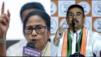 TMC claims 2,454 rape cases in Bengal in 5 months under BJP