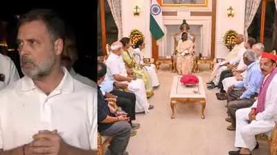 BJP calls Rahul Gandhi's claim on President Murmu 'vote chori' response a lie