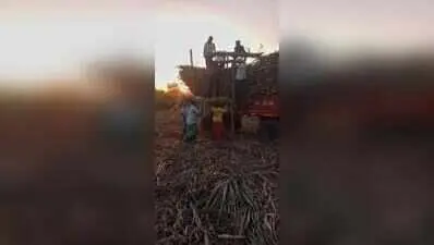 Marathwada drought traps women with no work or income