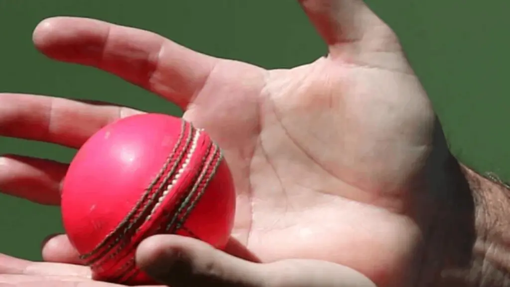 ICC allows pink ball in daytime Tests, changes playing conditions