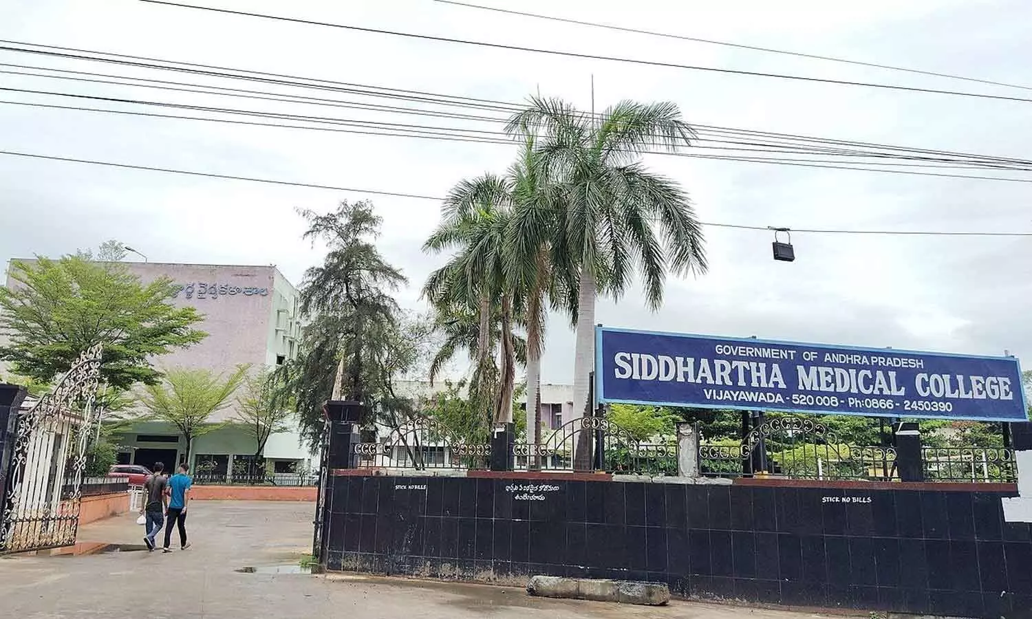 AP govt medical colleges post 88.11% pass rate, beat private ones