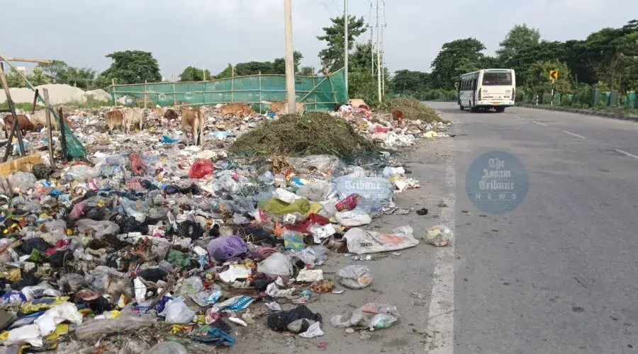 Assam hotels, malls face power, water cuts for waste rule violation