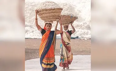 Government extends duty-free cotton imports until 31 December 2026