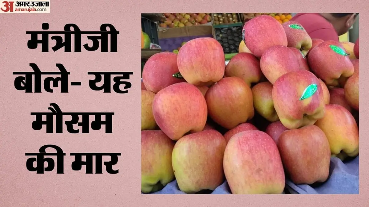सेब महंगा होगा, उत्पादन में 40 फीसदी तक गिरावट