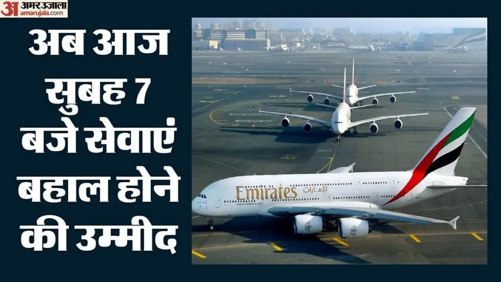 Bird strike delays Emirates flight at Delhi airport