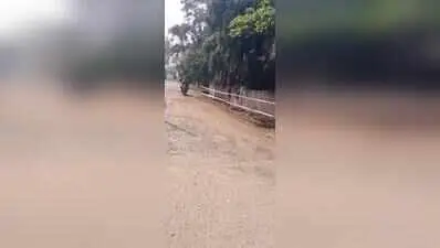 HDMC evicts 300 roadside shops in Dharwad, sparks protests