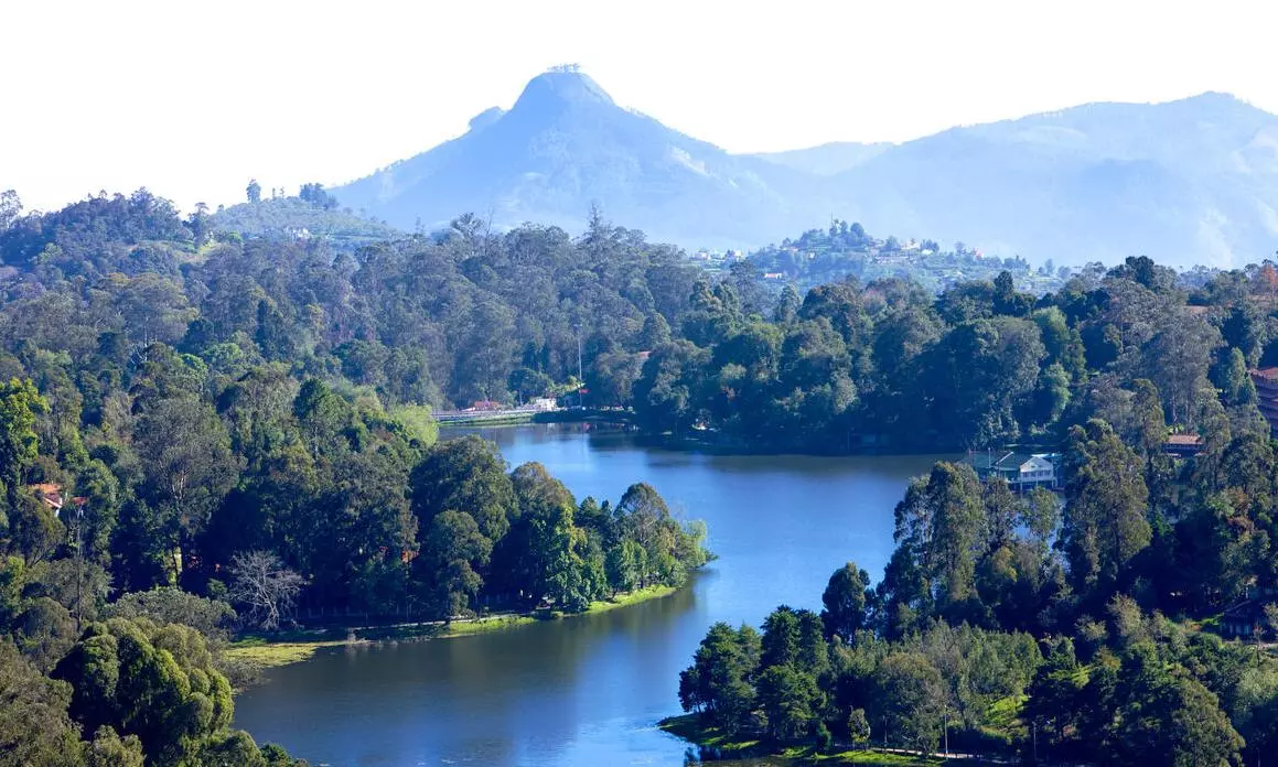 Tamil Nadu Forest Dept introduces online tickets for Kodaikanal spots