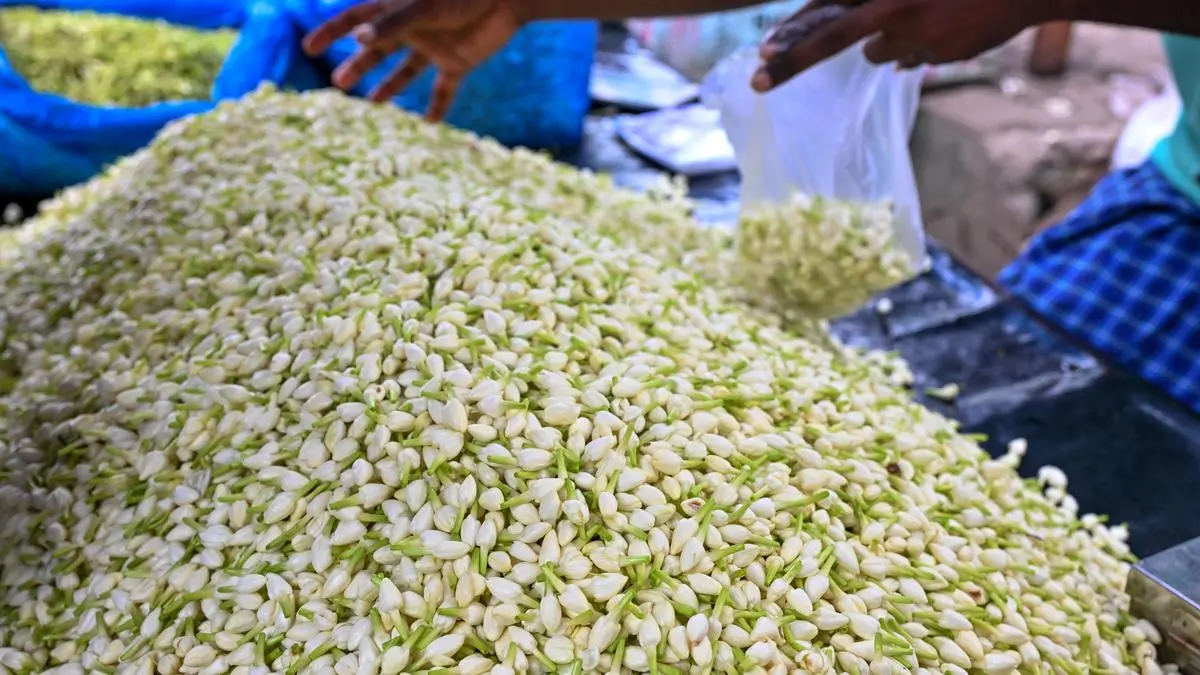 Flower prices spike across Tamil Nadu ahead of Ayudha Puja