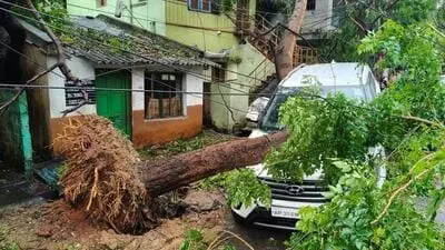 Cyclone Arnab: Andhra CM Naidu seeks central teams, reports crop damage