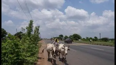 CAG flags land misuse, encroachment in Odisha tehsils
