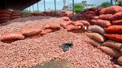 Onion prices diverge as Kurnool arrivals crash, new crop expected