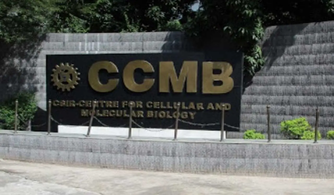 CCMB scientists find protein that helps cells detect viruses