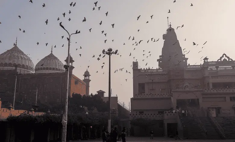 Allahabad HC fixes Nov 20 for Mathura dispute hearing