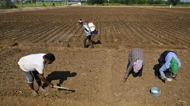 Telangana drought pits water needs against data-centre push