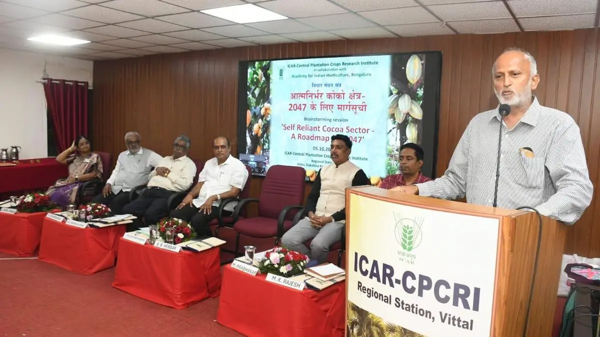 CPCRI to test cocoa seedlings from seeds, cuttings and grafts