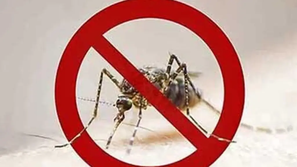 Bharat Biotech, Gavi, UNICEF cut malaria vaccine price 40%