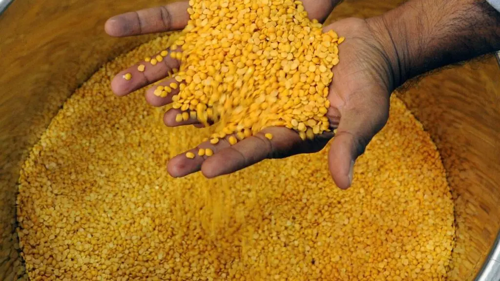 Rice and toor dal hit new highs after 35% rain deficit in Karnataka