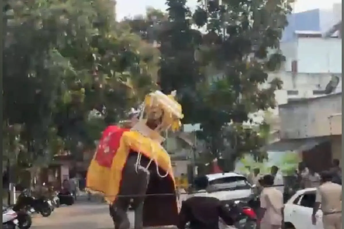 Elephant runs amok at Shivamogga Dasara, damages vehicles