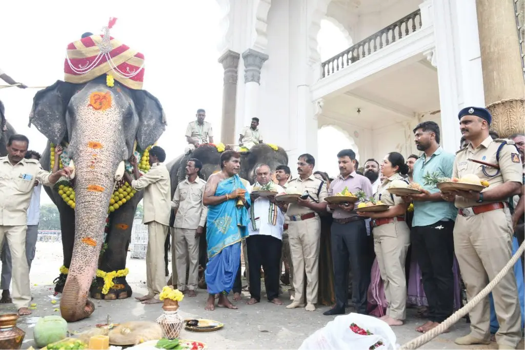 Dasara elephant Abhimanyu returns for one final farewell