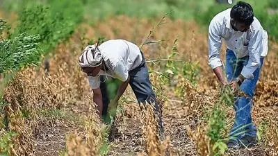 Beed deploys 24x7 security at 164 dams as water stocks fall