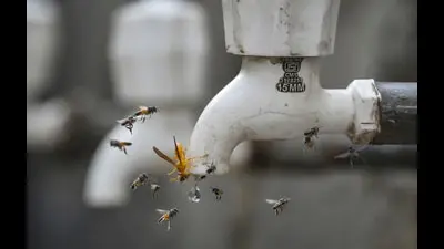 Noida Sector 56 residents face two-week water shortage