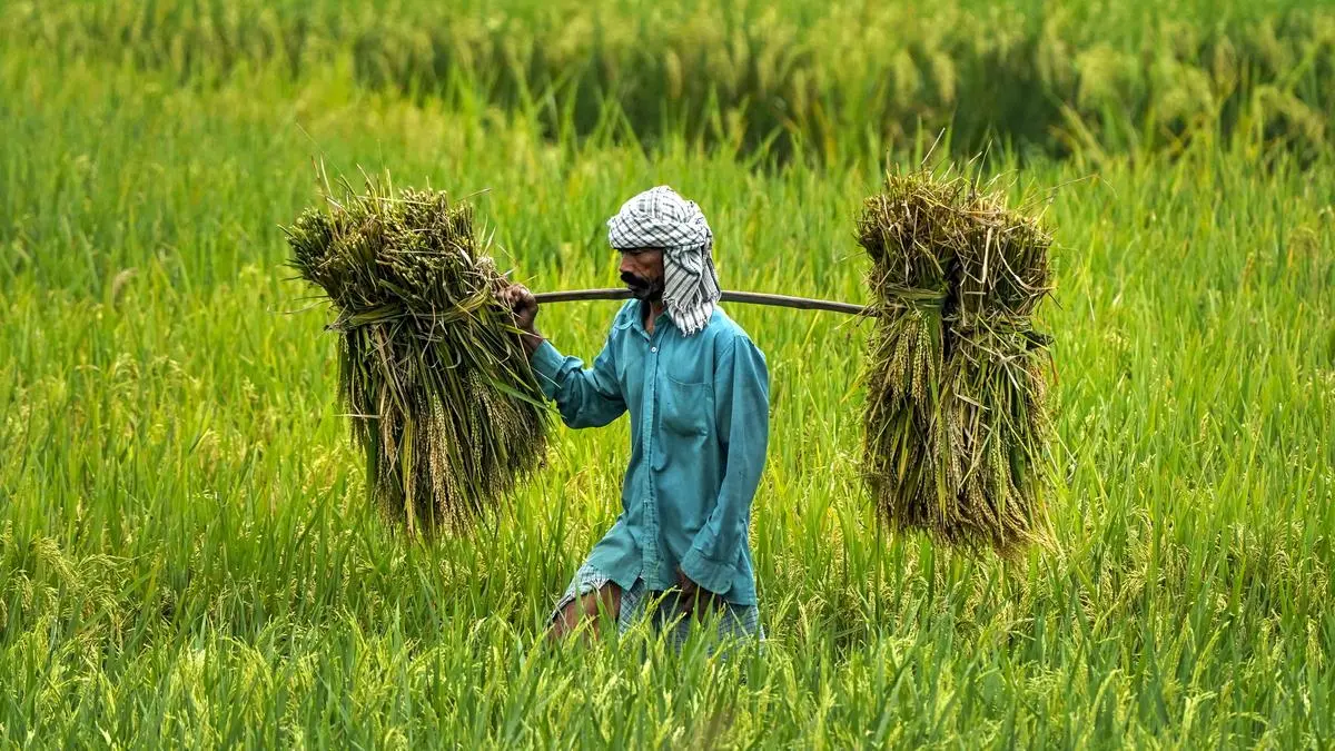 SKM calls MSP hike for rabi crops an insult, plans agitation