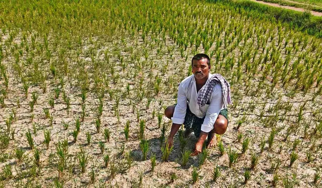Andhra Cabinet clears Rs 3,125 crore for farmers amid Arnab damage