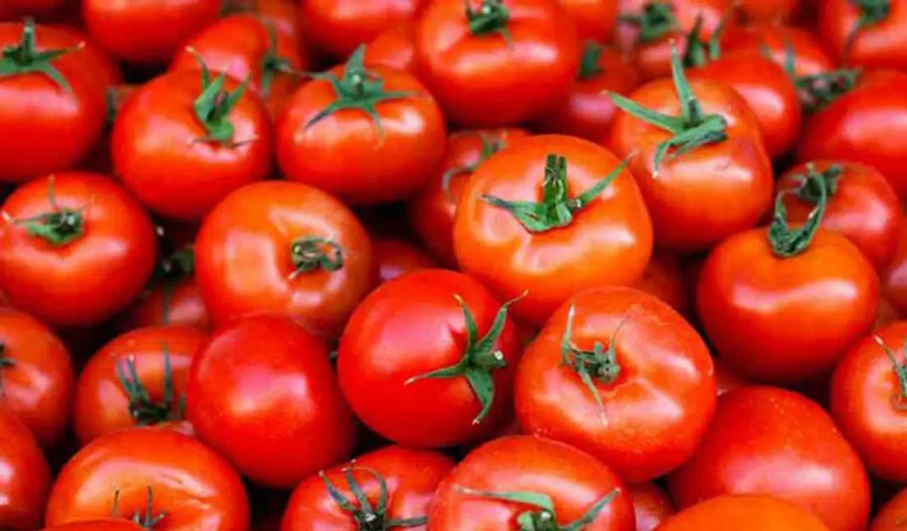 Tomato prices double in Hyderabad in a fortnight