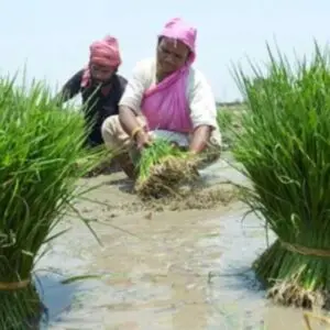 UPSC Key: Farmer ID, OBC creamy layer, UAE oil spill
