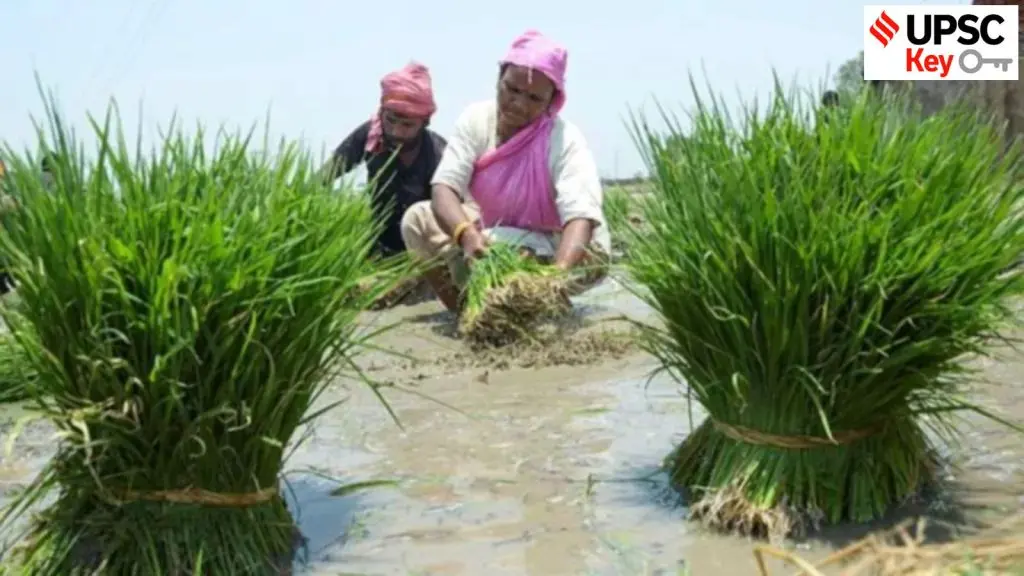 UPSC Key: Farmer ID, OBC creamy layer, UAE oil spill
