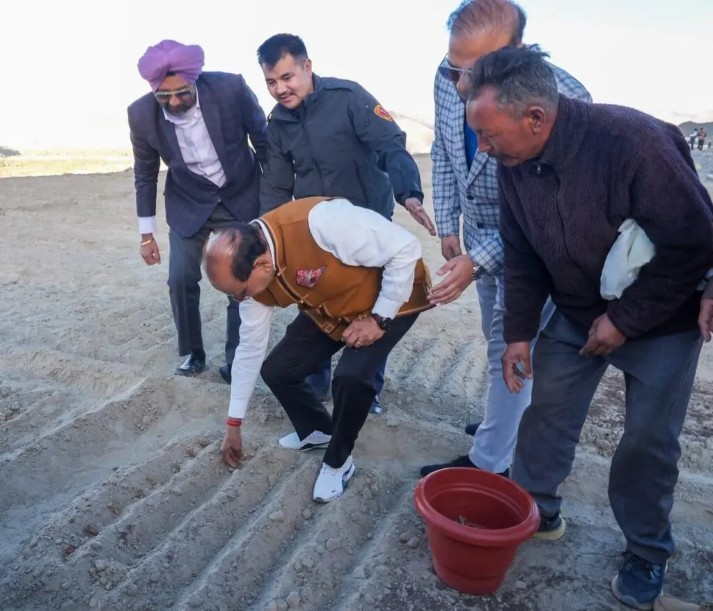 Ladakh starts pilot saffron cultivation on reclaimed Leh land