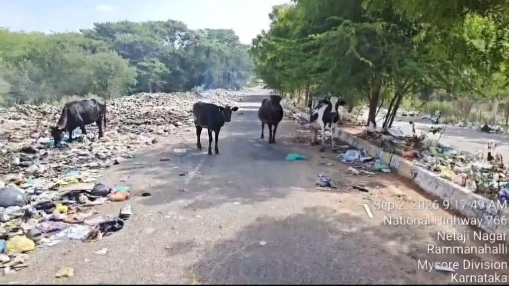 Yathindra inspects Lalithadripura waste clearance after public outrage