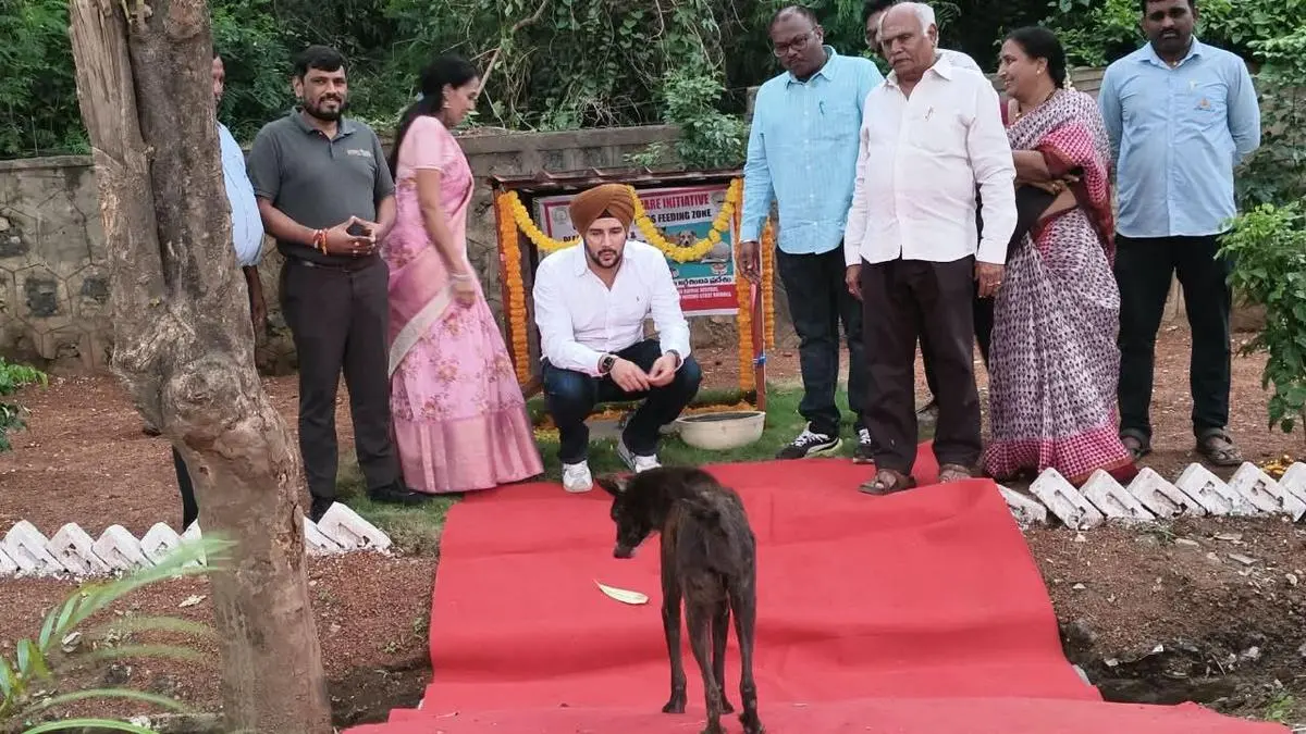 GVMC opens third feeding zone for stray dogs, plans 25