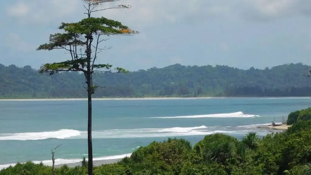 5.1 magnitude earthquake strikes Andaman and Nicobar Islands