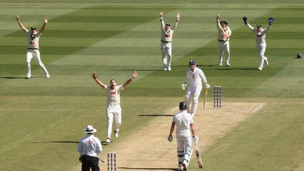 Ashes and India series drive Cricket Australia to A$81.8 million surplus