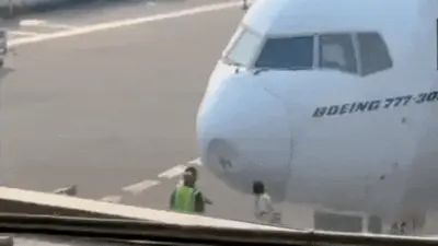 Bird strike damages Emirates aircraft, Delhi-Dubai flight delayed
