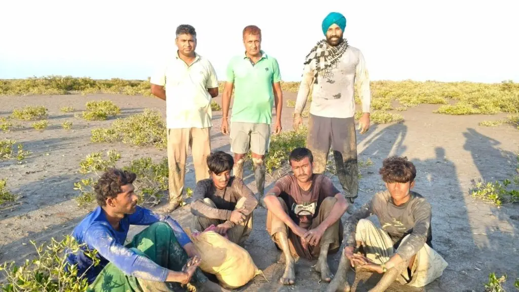 BSF catches 4 Pakistani fishermen in Gujarat's Sir Creek