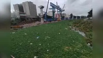 GCC tells NHAI to clear Cooum obstructions by Oct 15