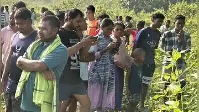 Tusker electrocuted in Odisha, villagers hold forest team