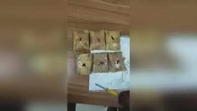 DRI seizes charas worth Rs 3 crore at Muzaffarpur station, 2 held