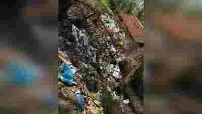 Community norms shape plastic-waste practices: NU study