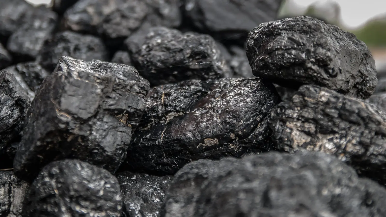 Bharat Coking Coal posts Rs 124 crore profit in September quarter
