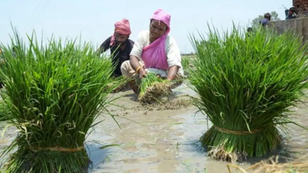 11 crore farmers get unique IDs ahead of deadline