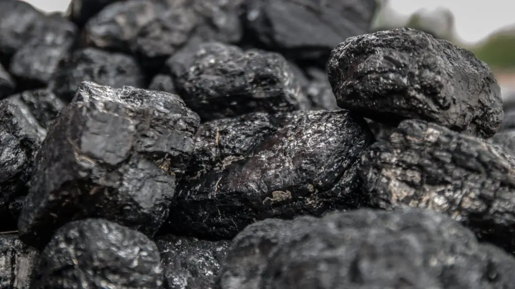 Coal India profit jumps 53%, declares Rs 10.25 dividend