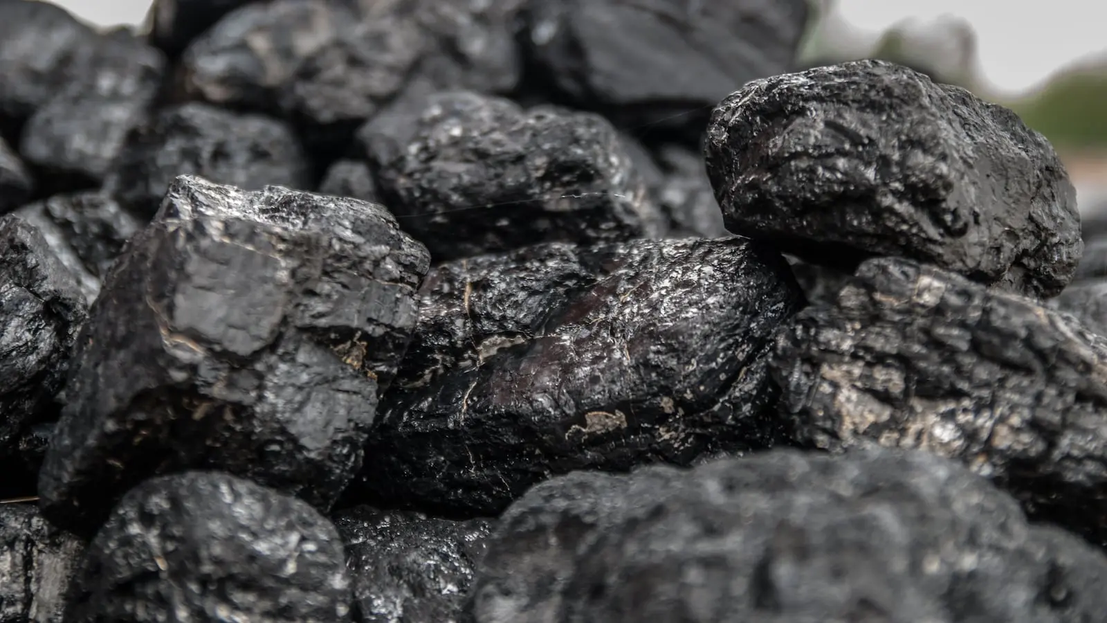 Coal India profit jumps 53%, declares Rs 10.25 dividend