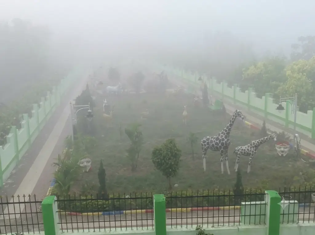 Dense fog blankets Odisha’s Sonepur, disrupts morning traffic