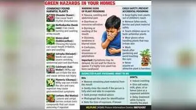 KGMU experts warn common ornamental plants pose toxicity risk