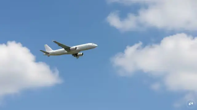 Airlines seek urgent release of ECLGS 5.0 funds